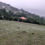 فروش دو قطعه زمین در رستم آباد گیلان