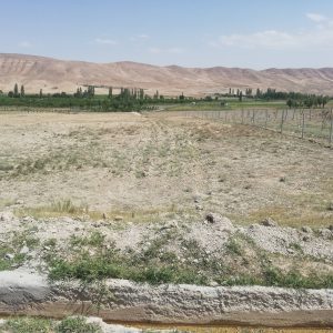 فروش زمین در شهرآباد فیروزکوه با قیمت ارزان