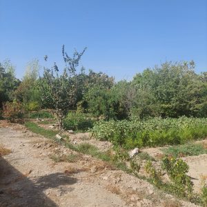 فروش باغچه و زمین در شهرری ، گلحصار