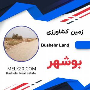 فروش زمین کشاورزی در بوشهر
