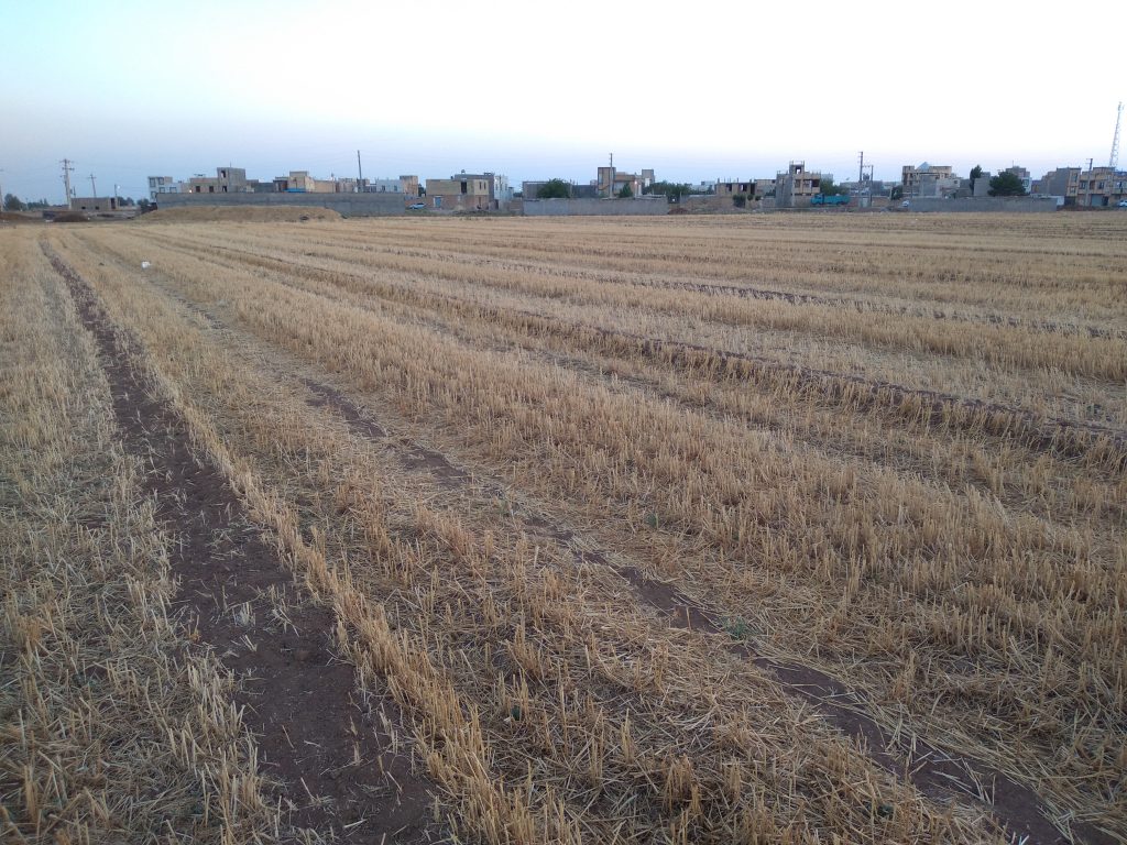 زمین کشاورزی در الوند قزوین شهرک پیریوسفیان