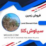 فروش زمین در نکا و روستای سیاوش کلا