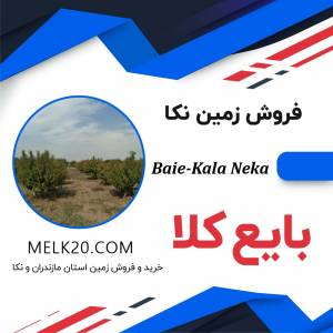 خرید و فروش زمین در شهرستان نکا و روستای بایع کلا