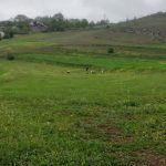 زمین قابل ساخت گیلان، بره‌سر