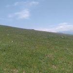 زمین کشاورزی دیلمان روستای عاشورآباد