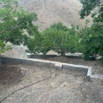 زمین در منطقه کوهسار روستای اوسکولدره