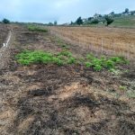 فروش زمین در روستای لارما از منطقه تنگه سلیمان ساری