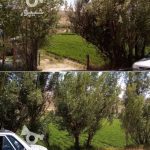 فروش زمین در جاده تنگه واشی فیروزکوه و روستای دهین