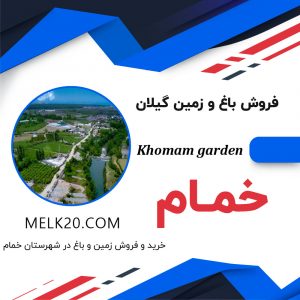 فروش باغ در خمام گیلان و با قیمت منطقی