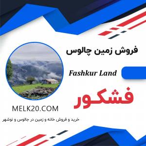 فروش زمین زیر قیمت منطقه در شهرستان چالوس و روستای فشکور