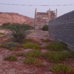فروش زمین ۱۰ دهکتاری با سند تک برگ در منطقه آبشورک شهرک جهاد دریا