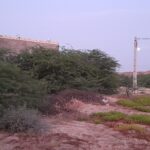 فروش زمین ۱۰ دهکتاری با سند تک برگ در منطقه آبشورک شهرک جهاد دریا