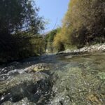 فروش باغ ۱۱۴۶ متری محصور در سرک – آزادراه تهران شمال (جاده چالوس) 🌿