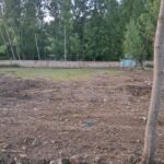 زمین مسکونی برای ویلا سازی در استخرپشت از توابع نکا
