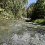 فروش باغ ۱۱۴۶ متری محصور در سرک – آزادراه تهران شمال (جاده چالوس) 🌿