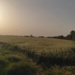 یازده هکتار زمین آبی و مجتمع گاوداری و ویلا در کرمانشاه