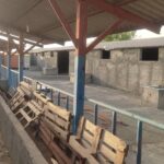 یازده هکتار زمین آبی و مجتمع گاوداری و ویلا در کرمانشاه