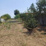 فروش زمین ۵۰۰ متری واقع در ساری فرح اباد