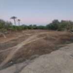 خرید و فروش زمین در جزیره قشم – روستای کندالو