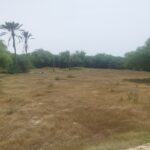 خرید و فروش زمین در جزیره قشم – روستای کندالو