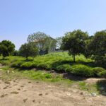 زمین مسکونی در شهر کومله از توابع استان گیلان