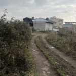 فروش فوری زمین مسکونی در شهر خمام گیلان