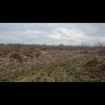 فروش فوری زمین مسکونی در شهر خمام گیلان