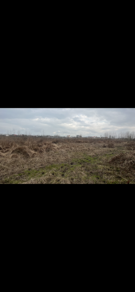 فروش فوری زمین مسکونی در شهر خمام گیلان