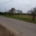 فروش زمین در رودسر گیلان با قیمت مناسب
