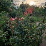 فروش زمین با ویلای ۲۰۰ متری در بلوار امام رضا صومعهسرا– فرصت ویژه سرمایهگذاری