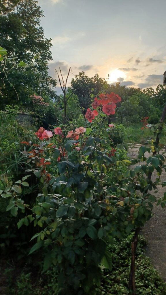 فروش زمین با ویلای ۲۰۰ متری در بلوار امام رضا صومعهسرا– فرصت ویژه سرمایهگذاری