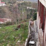 زمین با موقعیت بی نظیر در دالخانی رامسر