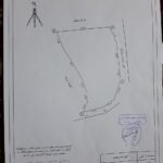 فروش زمین نیاک لاریجان در آمل مازندران
