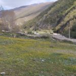 فروش زمین مسکونی در روستای حسین آباد نکا ،مازندران