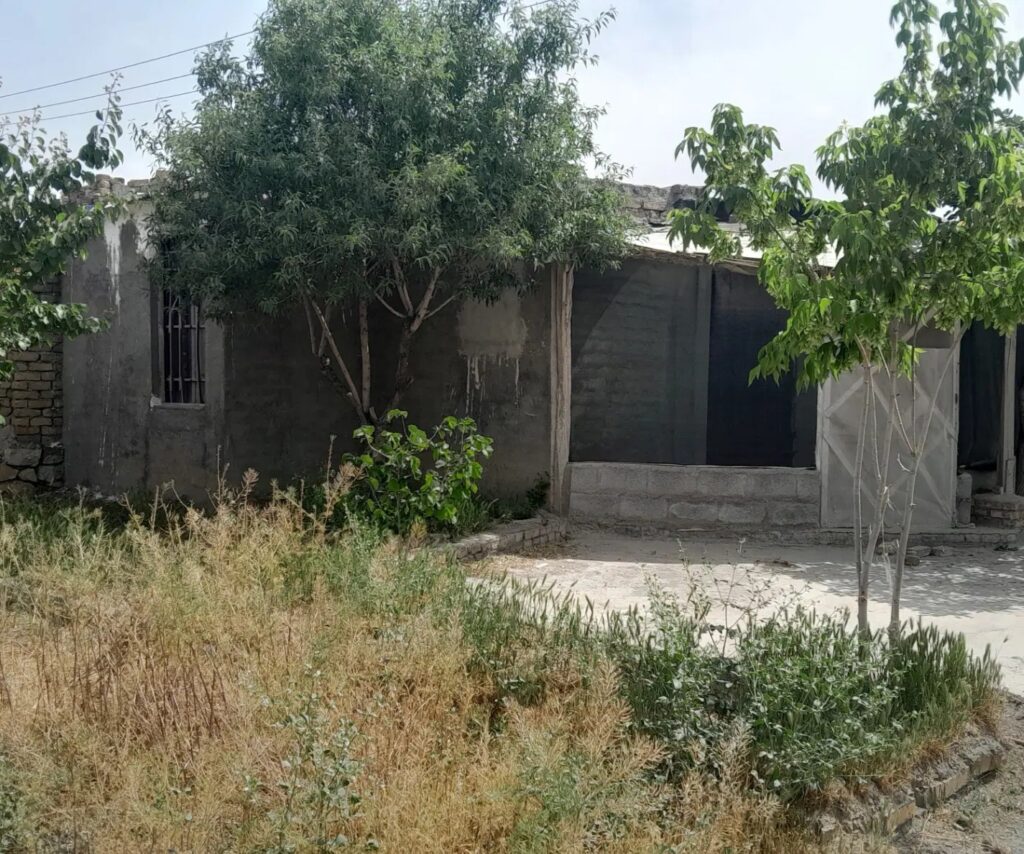 فروش زمین کشاورزی در جاده کاهو مشهد