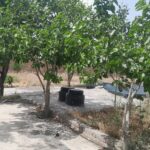 فروش زمین کشاورزی در جاده کاهو مشهد