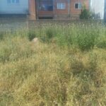 فروش زمین 88 متری در شهرک خسروی گنبد