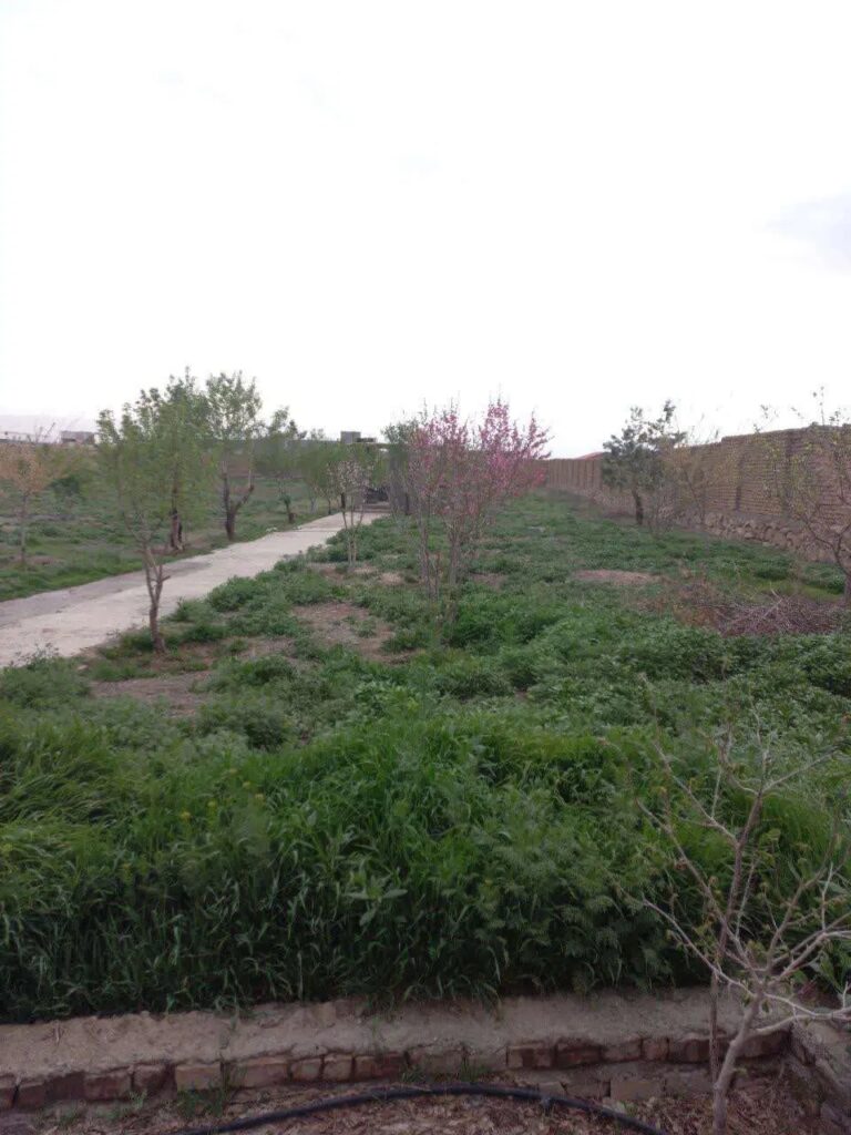 فروش زمین کشاورزی در جاده کاهو مشهد