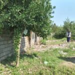 زمین مسکونی گیلان رضوانشهر دیناچال