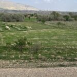 فروش زمین ویلایی صوفیان باغ وزیر در اذربایجان شرقی